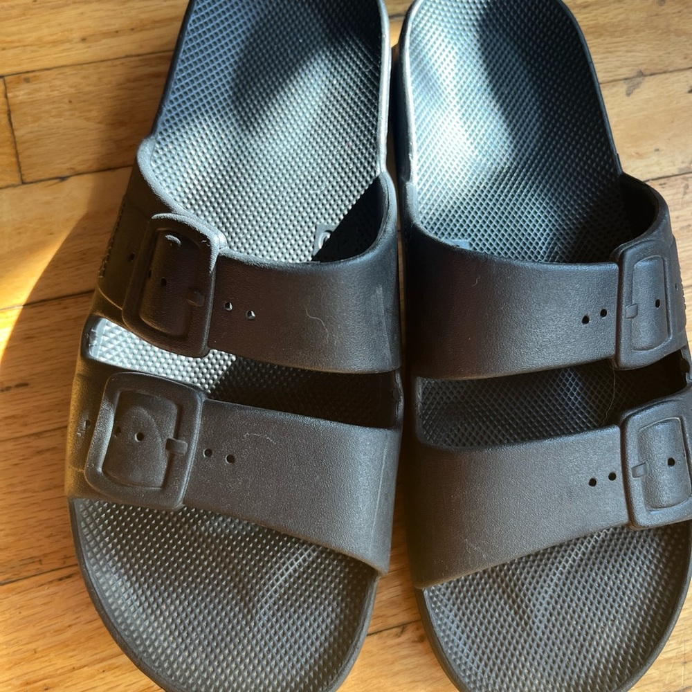 Freedom Moses Slides